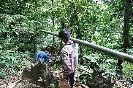 Visit to the bamboo forest where raw materials are sourced and supplied to Bamboo Dana Co. Ltd.