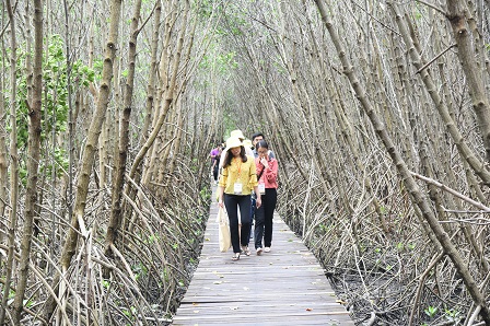 Tour of the mangrove forest at LERD