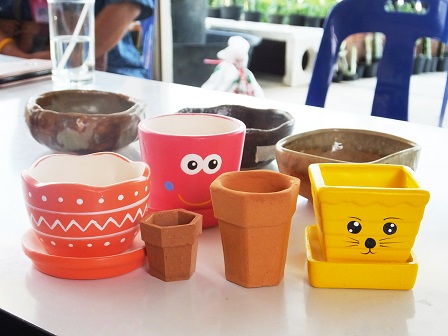 Sample products of cactus pots sold in the community