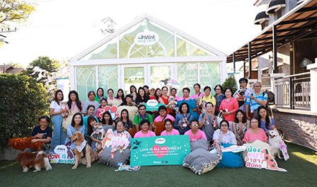 APCD Co-organizes Dog Therapy Programme on the theme "Love Is All Around" in Collaboration with Bertram (1958) Co. Ltd on 15 February 2020 at Mint Dog Yard, Bangkok, Thailand