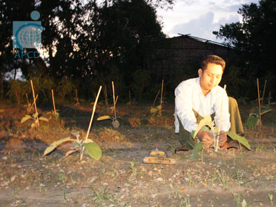 Farmer with Disabilities Planting Eggplants