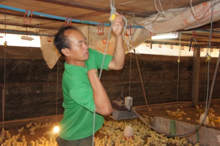 Farm Owner with Disabilities Adjusting Feeding  