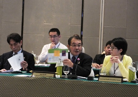 Review of the implementation of the Incheon Strategy
