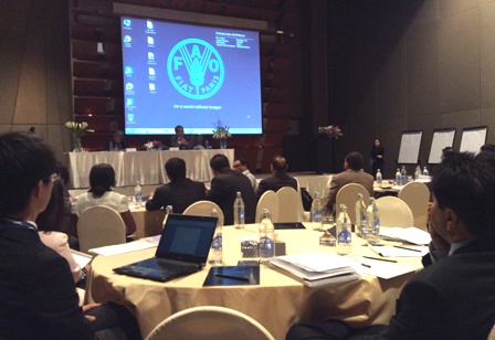 Opening activities for the Meeting