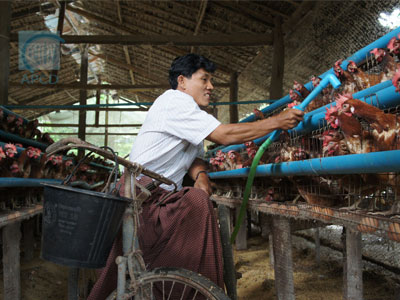 Farmer with Disabilities Working in a Chicken Shelter