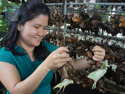 Farmer with Disabilities Taking Care of Butterfly Farm