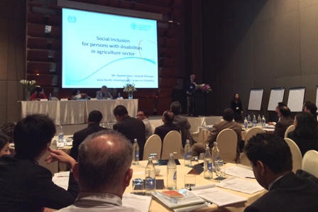 Presentation on Social Inclusion for Persons with Disabilities