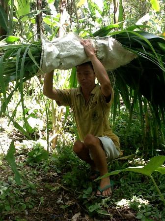 Farmer with Disabilities Collecting Feed for the Cattle