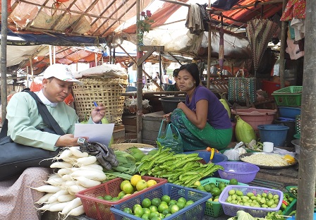 Interviews with market sellers