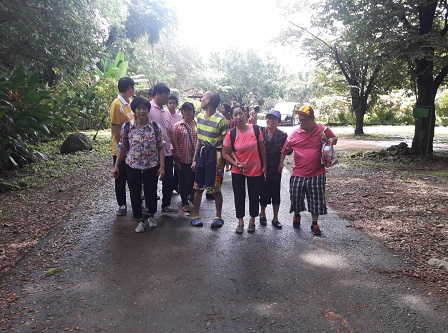 Study, survey, and accessibility audit of the Wantakai Waterfalls