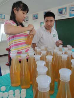 Making Dish Washing Liquid for income generation