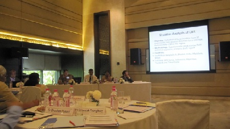 CBR Situation Analysis Presented by Dr. Maya Thomas (APCD Resource Person)