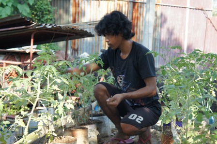Collaboration on Disability Inclusive Agriculture, the Philippines, 9-12 December 2012 