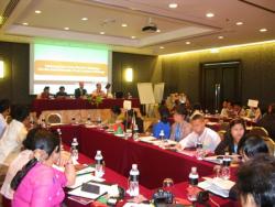 Mekong River Peer Review Meeting on the Draft Easy to Understand Incheon Strategy, Bangkok, Thailand, 6 September 2013