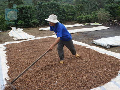 Collaboration on Disability Inclusive Agriculture, Vietnam, 14-17 October 2012