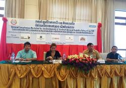 National Consultation Workshop for the Development of Lao PDR's Draft on National Disability Policy, Vientiane, Lao PDR, 31 March 2016